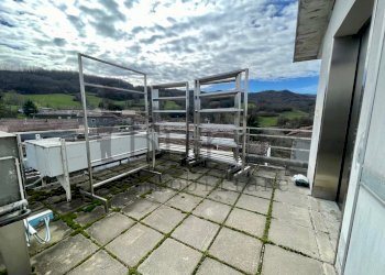 IMG_5482.jpg - Commercial Premises strada del borgo reno 73, Tizzano Val Parma - photo 14