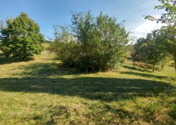 rustico Montorsello (11).jpg - Rustic Via Bosco degli Estensi 159, Zocca - photo 11