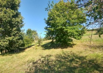 rustico Montorsello (17).jpg - Rustic Via Bosco degli Estensi 159, Zocca - photo 17