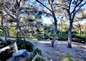 photo_5915604030858575870_y (FILEminimizer).jpg - Appartamento Via Aurelia 1115, Rosignano Marittimo - foto 9