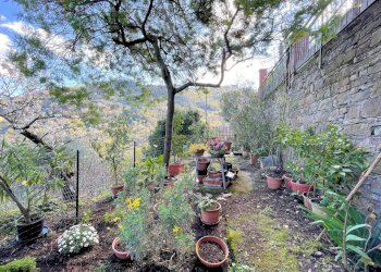 GIARDINO 1.jpg - Appartamento Via Franco Molfino, Camogli - foto 7