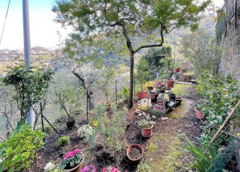 GIARDINO 5.jpg - Appartamento Via Franco Molfino, Camogli - foto 10