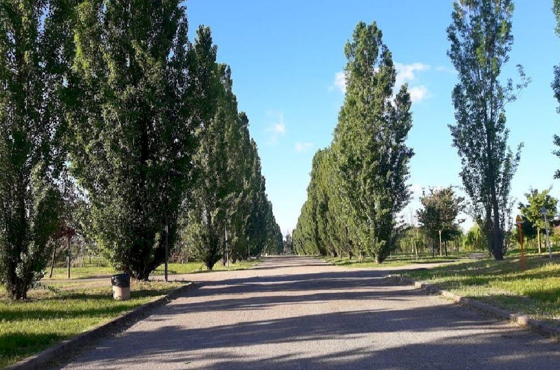 Terreno edificabile Reggio nell'Emilia - foto 2