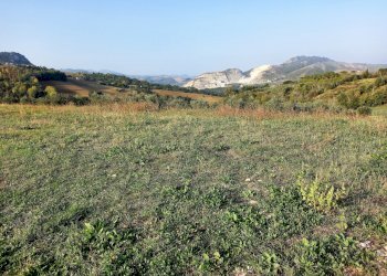Terreno edificabile Poggio Torriana - foto 1