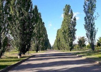 Building land Reggio nell'Emilia - photo 7