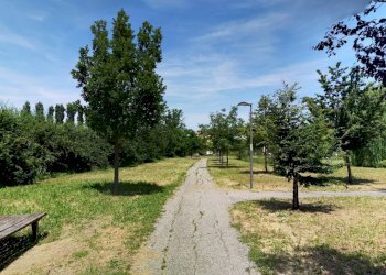 Building land Reggio nell'Emilia - photo 9