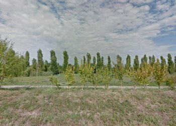 Building land Reggio nell'Emilia - photo 11