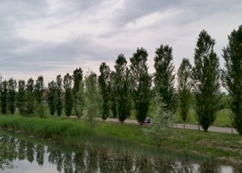 Terreno edificabile Reggio nell'Emilia - foto 7