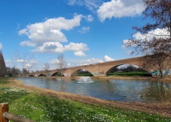 Terreno edificabile Reggio nell'Emilia - foto 6