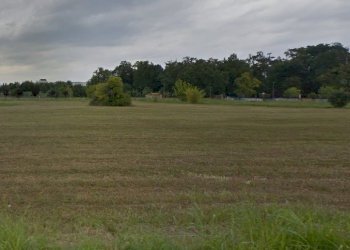 Terreno edificabile Reggio nell'Emilia - foto 5