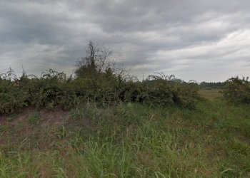 Terreno edificabile Reggio nell'Emilia - foto 8