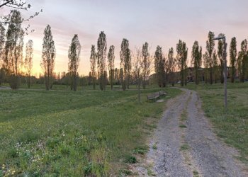 Terreno edificabile Reggio nell'Emilia - foto 4