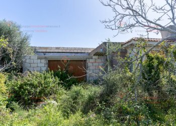 RIC04013.jpg - Villa Siracusa - foto 12