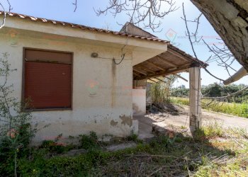 RIC04014.jpg - Villa Siracusa - foto 13