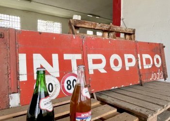 IMG_2272.jpeg - Shed Via Circonvallazione 9, Villanterio - photo 2