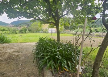 04.jpg - Rustico Via Arena 12, Ameglia - foto 4