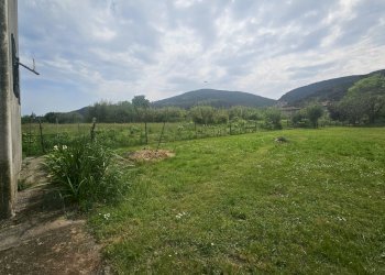 05.jpg - Rustico Via Arena 12, Ameglia - foto 5