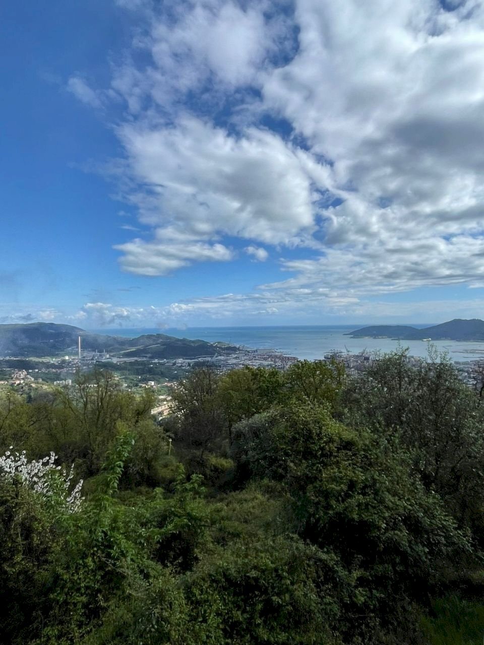 WhatsApp Image 2024-04-11 at 10.35.48 (1).jpeg - Villa La Spezia - foto 1