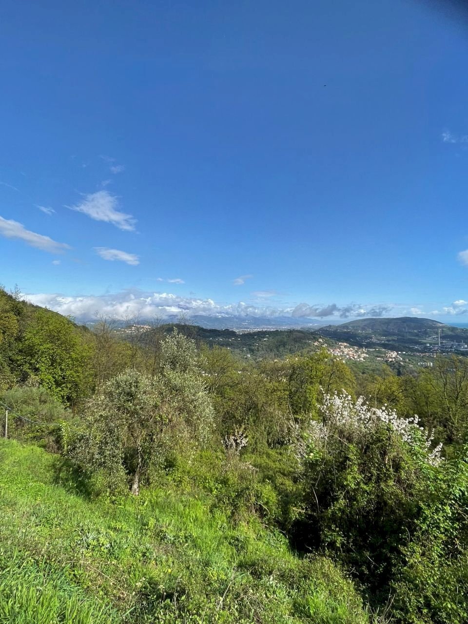 WhatsApp Image 2024-04-11 at 10.35.49 (9).jpeg - Villa La Spezia - foto 2