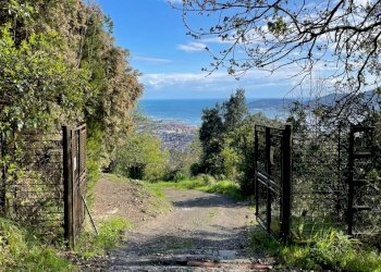 WhatsApp Image 2024-04-11 at 10.35.49 (14).jpeg - Villa La Spezia - foto 3