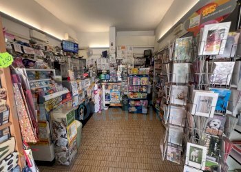 IMMAGINE01-ink.jpeg - Tabaccheria Bologna - foto 1