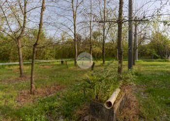 Villa Via Gandhi, Savignano sul Panaro - foto 8