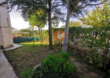 Giardino - Appartamento Terre Roveresche - foto 6