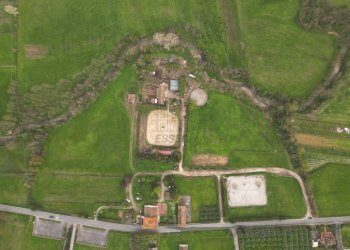 vendesi villa primi 900 con podereDJI_0483.JPG - Villa Via Sbarra, Porcari - foto 4