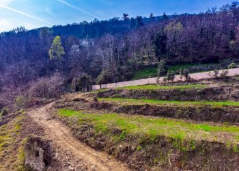 Villa Belgirate - foto 11