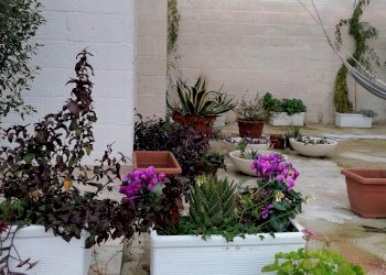 Villa Strada Chianchizzo, Ostuni - foto 29