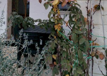 Villa Strada Chianchizzo, Ostuni - foto 32