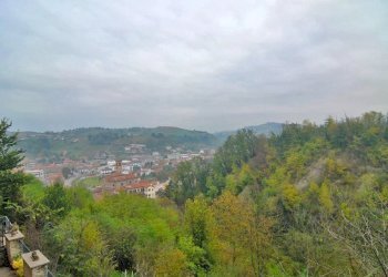 Trilocale Dogliani - foto 11