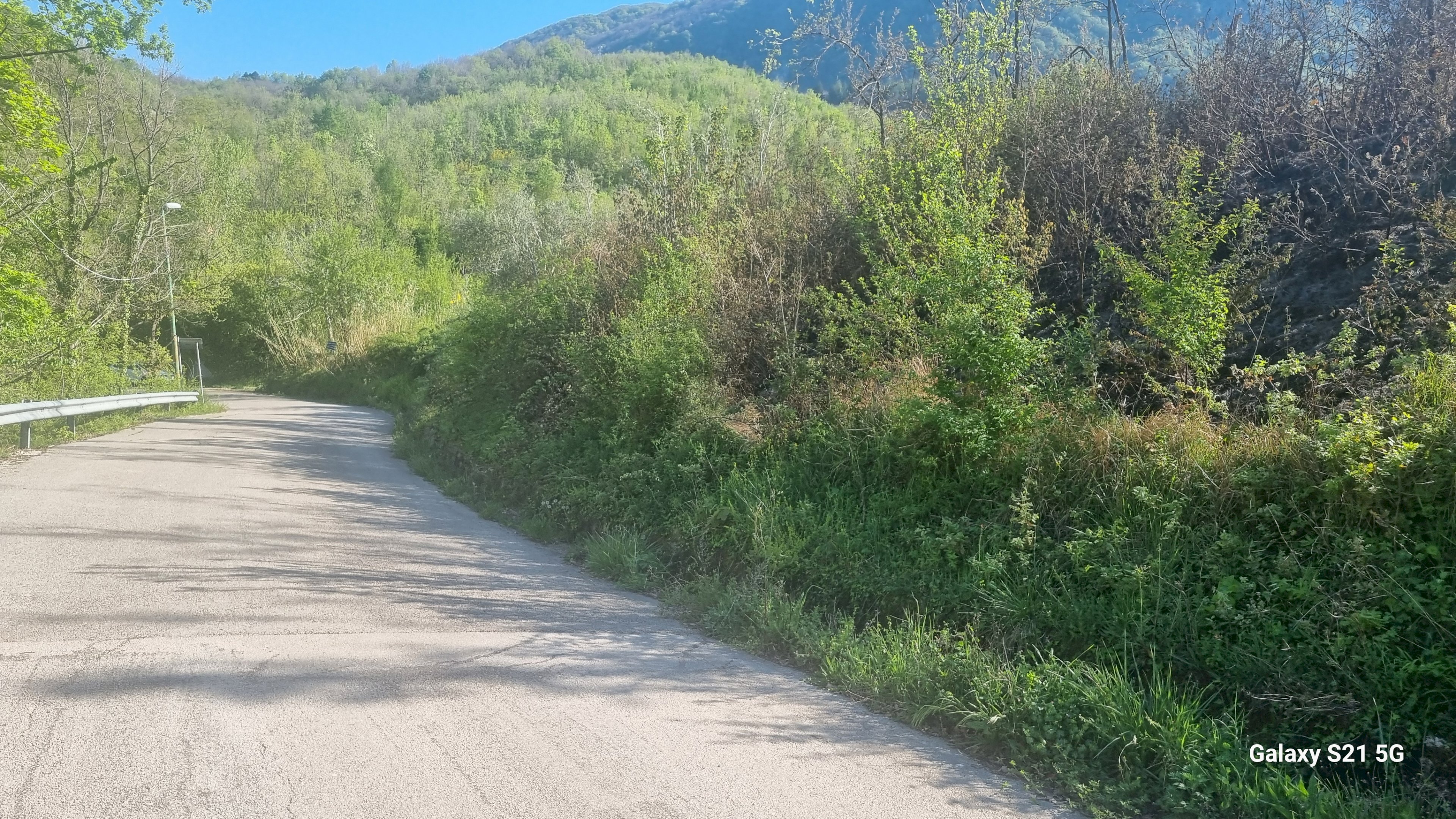 Terreno agricolo Strada Provinciale 39, San Mango sul Calore - foto 1