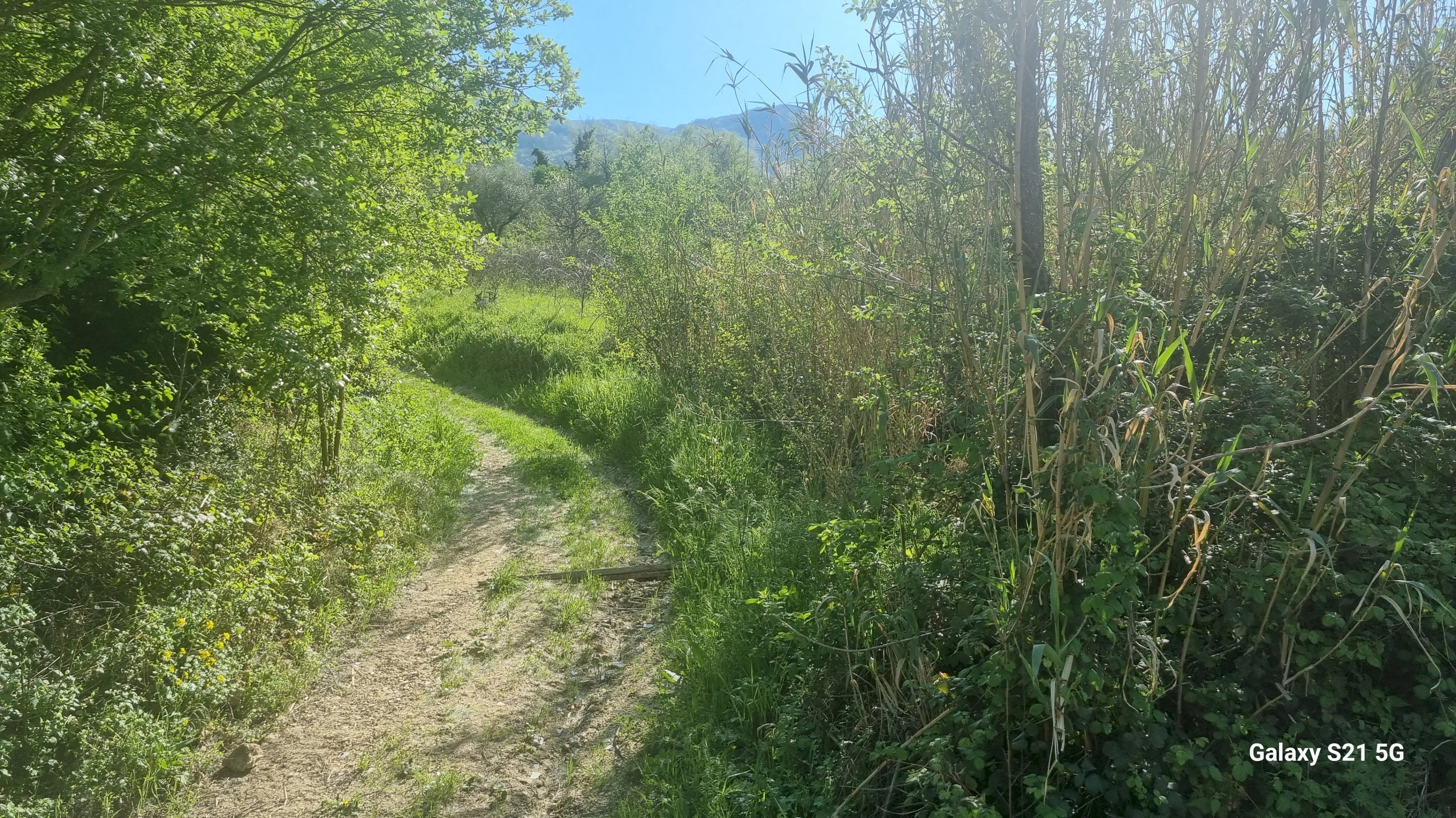 Terreno agricolo Strada Provinciale 39, San Mango sul Calore - foto 2