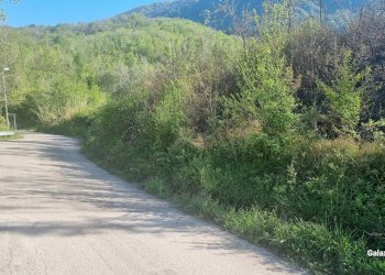Terreno agricolo Strada Provinciale 39, San Mango sul Calore - foto 1
