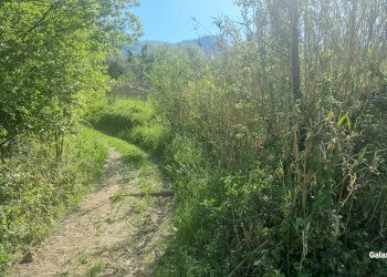 Terreno agricolo Strada Provinciale 39, San Mango sul Calore - foto 2