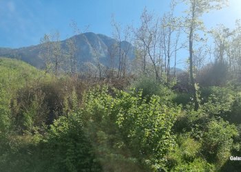 Terreno agricolo Strada Provinciale 39, San Mango sul Calore - foto 3
