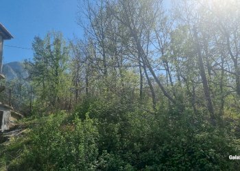 Terreno agricolo Strada Provinciale 39, San Mango sul Calore - foto 5