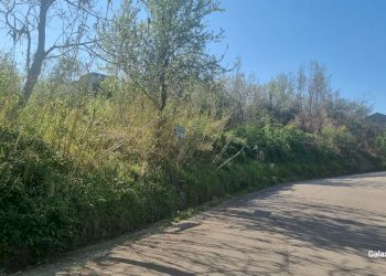 Terreno agricolo Strada Provinciale 39, San Mango sul Calore - foto 6