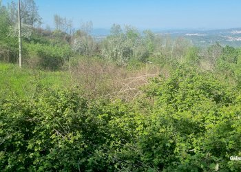 Terreno agricolo Strada Provinciale 39, San Mango sul Calore - foto 13