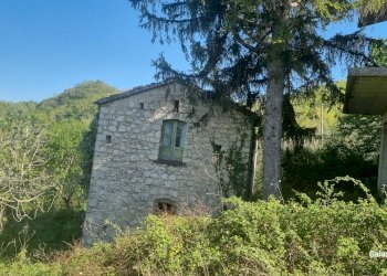 Terreno agricolo Strada Provinciale 39, San Mango sul Calore - foto 14