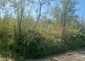 Terreno agricolo Strada Provinciale 39, San Mango sul Calore - foto 15