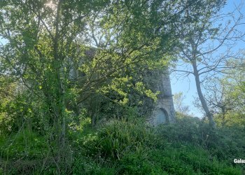 Terreno agricolo Strada Provinciale 39, San Mango sul Calore - foto 16