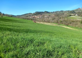 Cascina Castelnuovo Don Bosco - foto 5