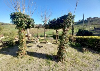 Cascina Castelnuovo Don Bosco - foto 23