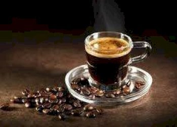 Altro - Bar - Tabacchi - Ricevitoria Pinerolo - foto 14