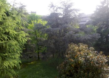 Vista - Quadrilocale via dei Salici, 23, Gallarate - foto 16