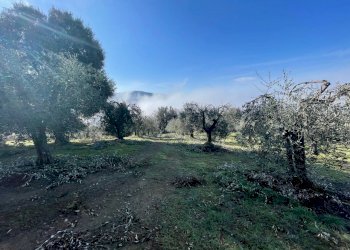 IMG_9473.jpg - Terreno agricolo Via Gorami snc, Magione - foto 2