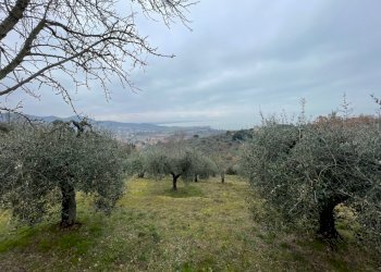 IMG_9022.jpg - Terreno agricolo Via Gorami snc, Magione - foto 24