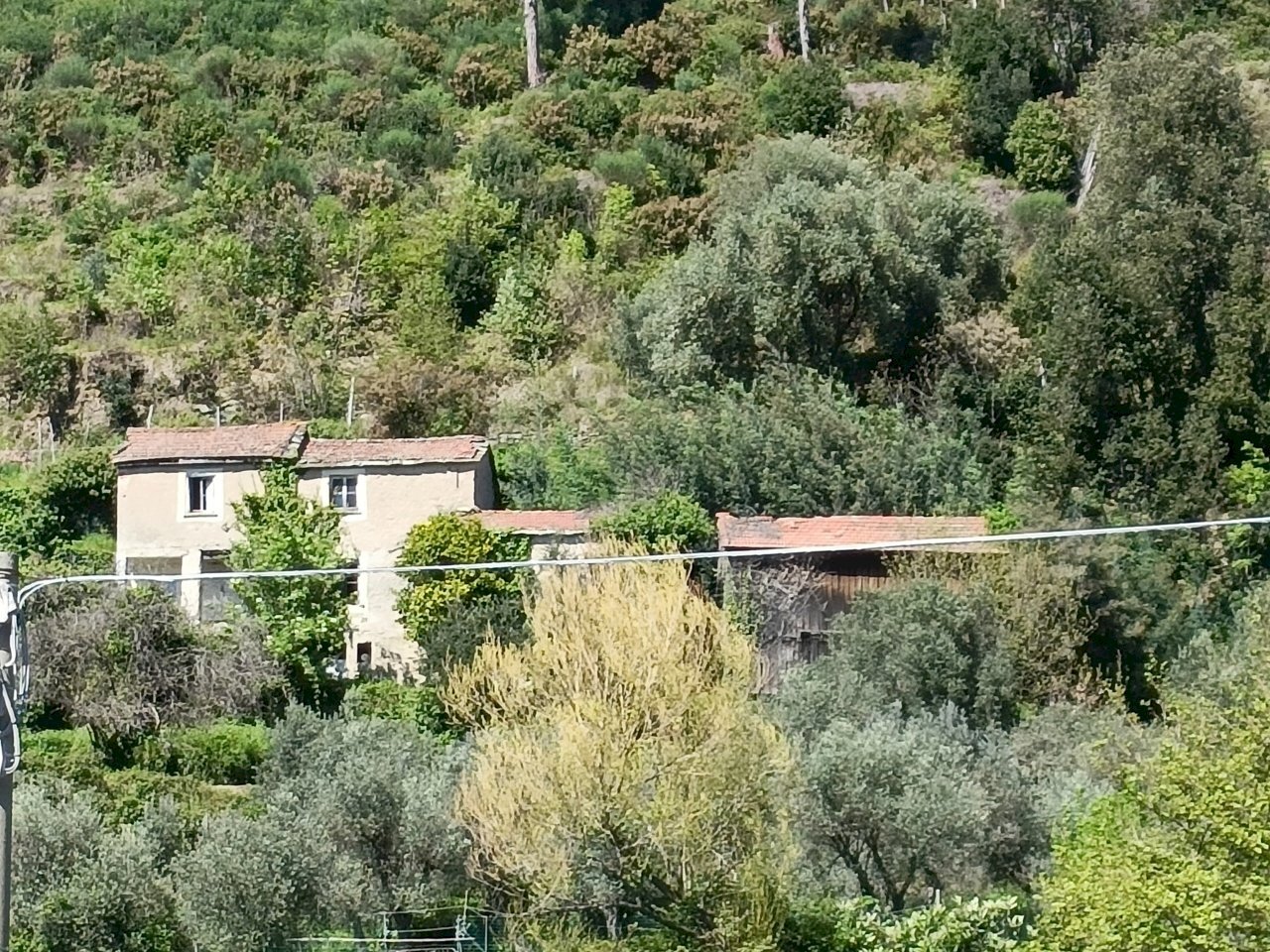 IMG20240414150747.jpg - Casa indipendente Via Campomarzio 9, Varazze - foto 1